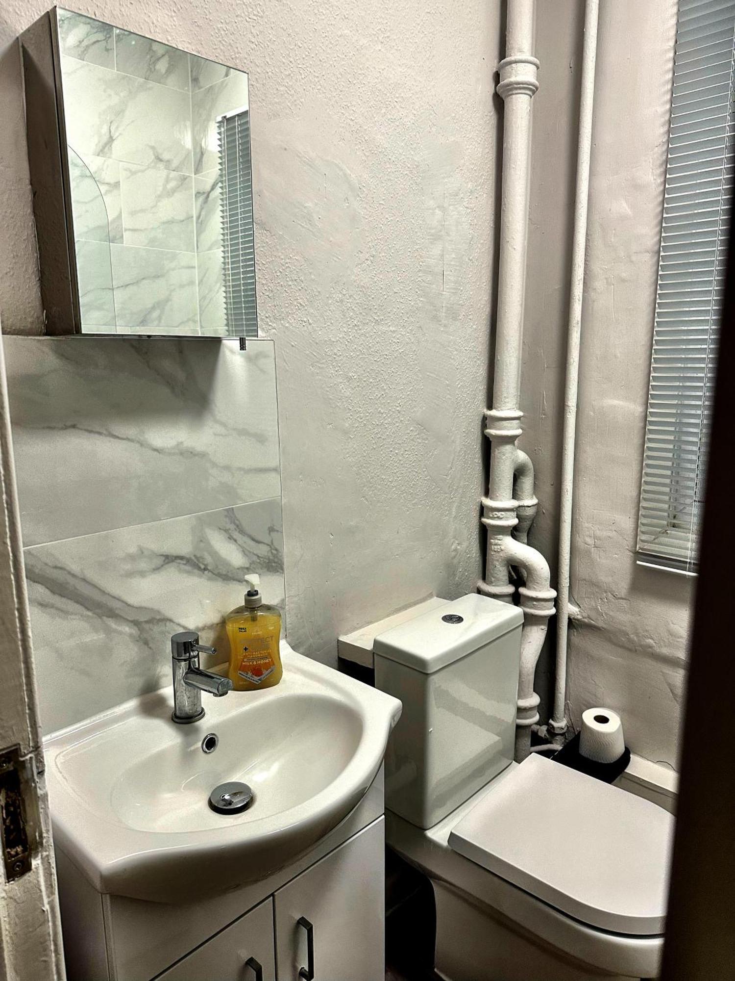 Apartament Brixton Hill Retreat Modern And Cosy Londyn Zewnętrze zdjęcie
