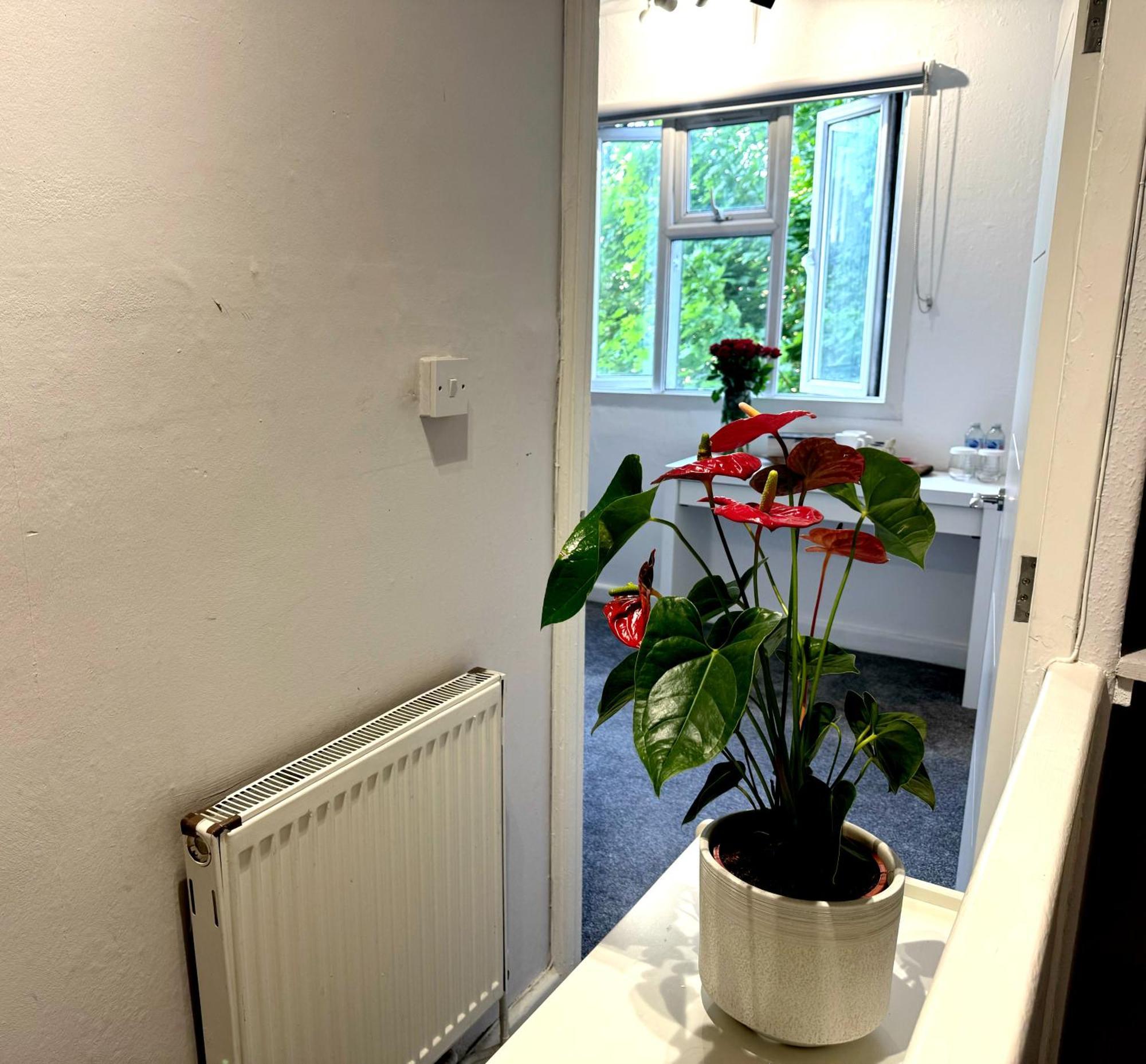 Apartament Brixton Hill Retreat Modern And Cosy Londyn Zewnętrze zdjęcie